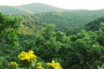 Δ.Κέας: Απόψεις για τις ζώνες του δικτύου Natura 2000 σε Κέα και Μακρόνησο