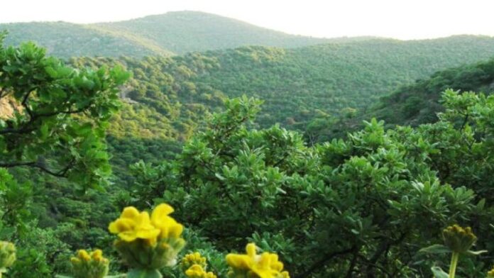 Δ.Κέας: Απόψεις για τις ζώνες του δικτύου Natura 2000 σε Κέα και Μακρόνησο