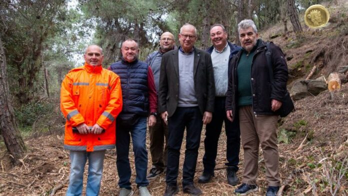 Ο Δήμαρχος Καβάλας επιβλέπει τις εργασίες καθαρισμού δασικής περιοχής στο Παληό