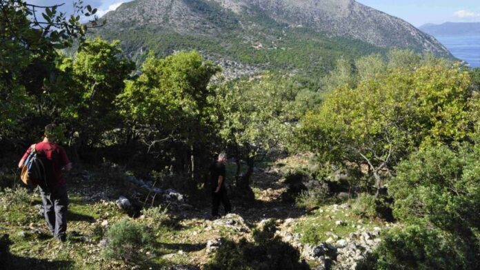 Κατασκευή Δικτύου Πεζοπορικών Μονοπατιών στον Δήμο Αργοστολίου