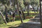 Δ.Βύρωνα: 150 φρέσκες δενδροφυτεύσεις στο Άλσος Αγίας Τριάδας