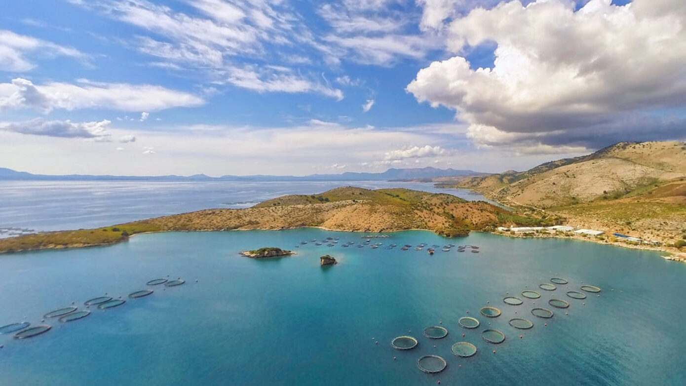 Η καναδική Cooke αναλαμβάνει τον έλεγχο της Avramar Greece