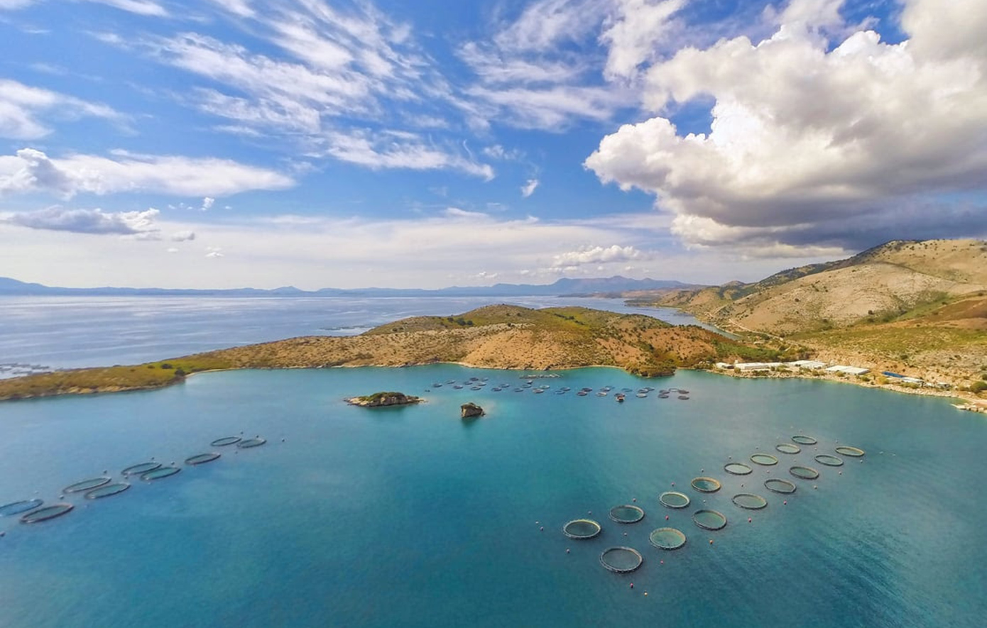 Η καναδική Cooke αναλαμβάνει τον έλεγχο της Avramar Greece