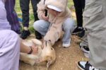 Το ΔΙΚΕΠΑΖ κέντρο πληροφόρησης για τα σχολεία της Αττικής