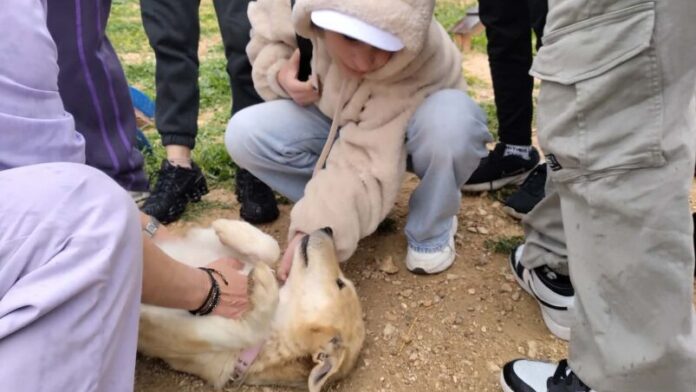 Το ΔΙΚΕΠΑΖ κέντρο πληροφόρησης για τα σχολεία της Αττικής