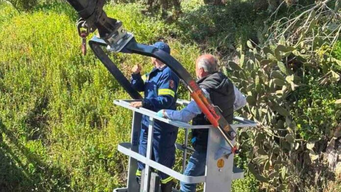 Ηρωική διάσωση ηλικιωμένου από κανάλι από την Πολιτική Προστασία Δ. Φυλής