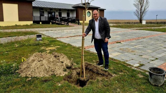 Ο Δήμος Κιλκίς αναζωογονεί το παραλίμνιο τοπίο της Δοϊράνης