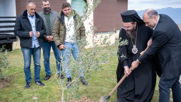 Πράσινες οάσεις και στο Μουσείο Λίμνης Δοϊράνης από τον Δήμο Κιλκίς