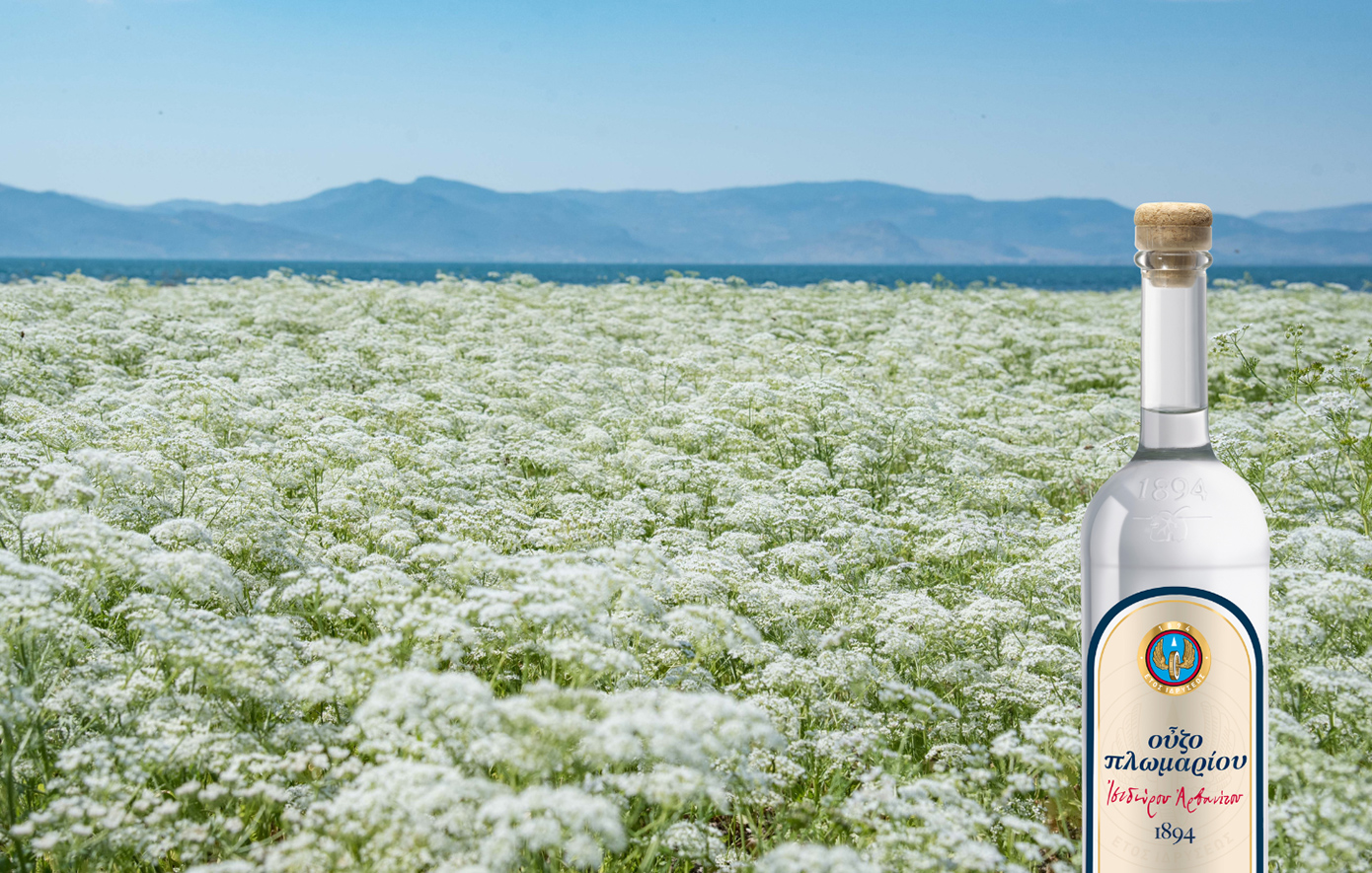 Στο Λισβόρι της Λέσβου αρχίζει μια κληρονομιά 130 χρόνων