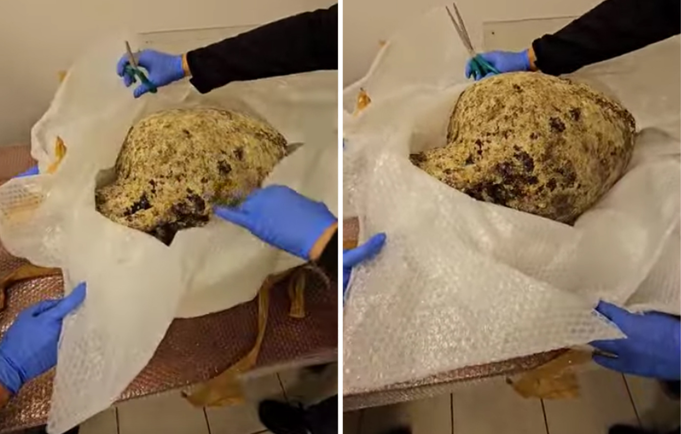 Αρχαιοκάπηλος συνελήφθη στα βόρεια προάστια με 2.000 ετών αμφορείς