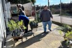 Πάνω από 2 χιλ. φυτεύσεις από το Περιφερειακό Φυτώριο Νοτίου Αιγαίου