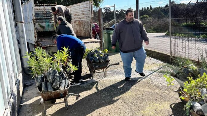 Πάνω από 2 χιλ. φυτεύσεις από το Περιφερειακό Φυτώριο Νοτίου Αιγαίου