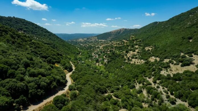 Απολογισμός δράσεων Αντιπεριφερειάρχη Ορεινής-Δασικής Πολιτικής στη Στερεά Ελλάδα