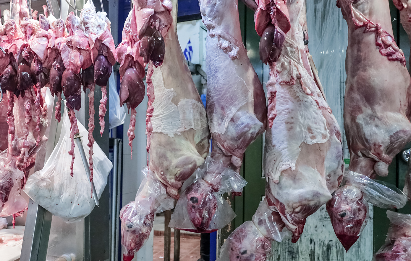 Παράνομες μετακινήσεις, τροποποιήσεις ενωτίων και ελλείψεις προσωπικού πίσω από την εξάπλωση της ευλογιάς – Τι θα συμβεί με τις σφαγές για το Πάσχα