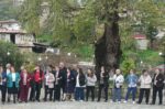 Αττική Περιφέρεια: Παραδοσιακοί τελετουργικοί χοροί στις Κοινότητες των Αγράφων