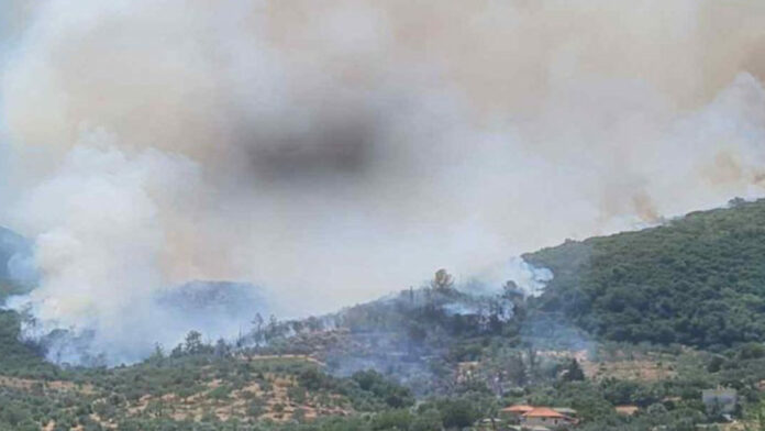 Εύβοια: Συνελήφθη 56χρονος για εμπρησμό