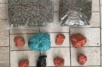 «Θανάσιμη παγίδα» σε παιδότοπο της Καλαμαριάς: Αφαίρεσαν τις βίδες από τις κούνιες