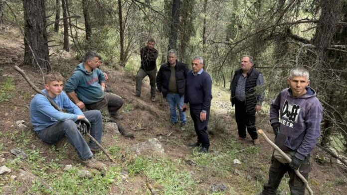 Κ. Τζιούμης: «Θωρακίζουμε τους οικισμούς μας απέναντι στον κίνδυνο δασικών πυρκαγιών»