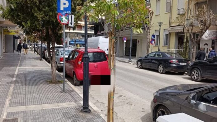 Ο Δήμος Αλεξ/πολης ξεκίνησε τη φύτευση καινούριων δέντρων