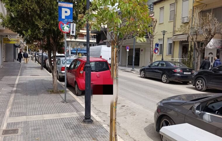 Ο Δήμος Αλεξ/πολης ξεκίνησε τη φύτευση καινούριων δέντρων