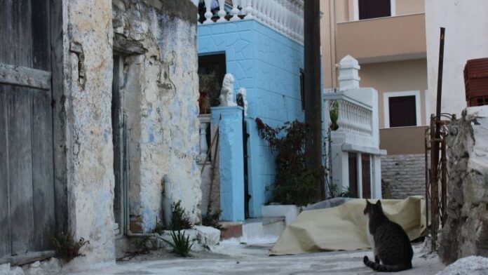 Η συμμετοχή του Δ. Καρπάθου στο “Zero Stray Academy” έφτασε στο τέλος της