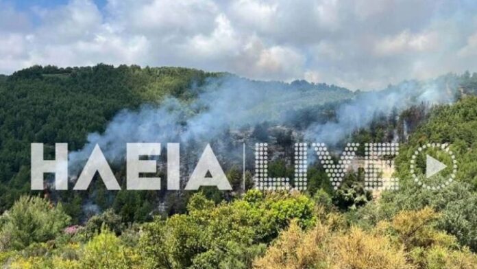 Πυρκαγιά σε δασική περιοχή στο Λέπρεο Ηλείας – Ισχυρή κινητοποίηση της Πυροσβεστικής