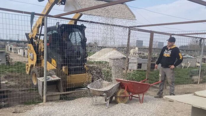 Περιφέρεια Αττικής ρεμβάσεις βελτίωσης συνθηκών φιλοξενίας των αδέσποτων ζώων στο Δημοτικό Καταφύγιο Σερρών