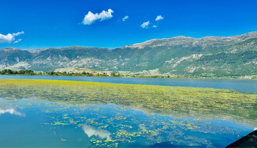 Περιφέρεια Ηπείρου: Απομακρύνθηκε το μεγαλύτερο μέρος των νεκρών ψαριών από τη λίμνη Παμβώτιδα