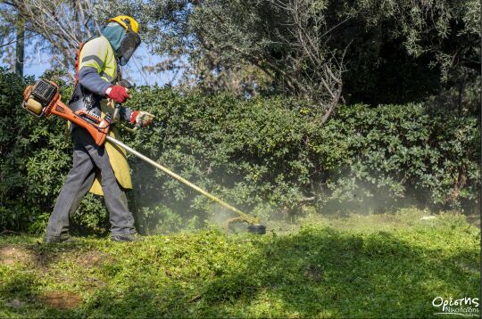 Δ. Νίκαιας-Αγίου Ιωάννη Ρέντη: Ανάδειξη Άλσους Αγίου Φιλίππου