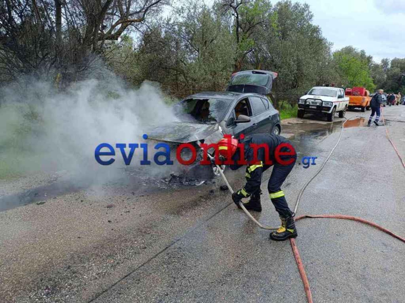 Πανικός για οικογένεια στην Εύβοια – Το όχημά τους τυλίχθηκε στις φλόγες εν κινήσει