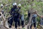Επιχείρηση της αστυνομίας στη Γαύδο: Συλλήψεις και κατεδάφιση 23 παραπηγμάτων σε περιοχές Natura.