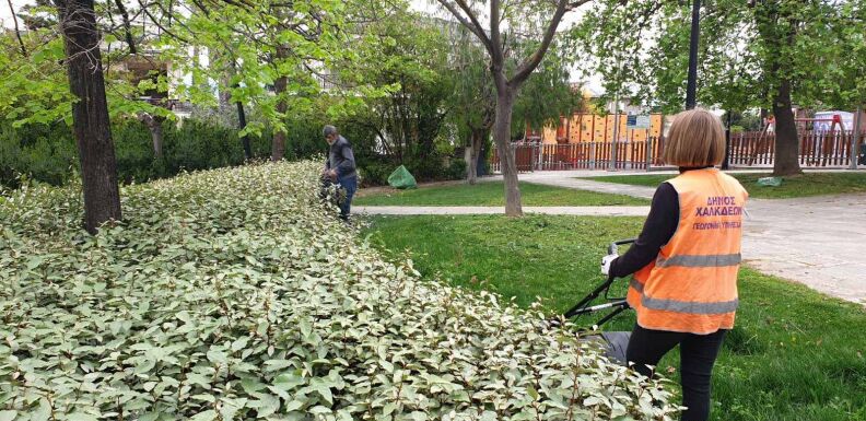 Δ. Χαλκιδέων: Αδιάκοπες προσπάθειες για την αναβάθμιση της καθημερινότητας