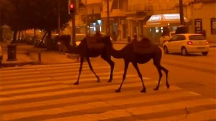Η αποπνικτική ατμόσφαιρα από την αφρικανική σκόνη και οι δημιουργίες AI στα social media – Βίντεο με καμήλες να περιφέρονται στην Κρήτη