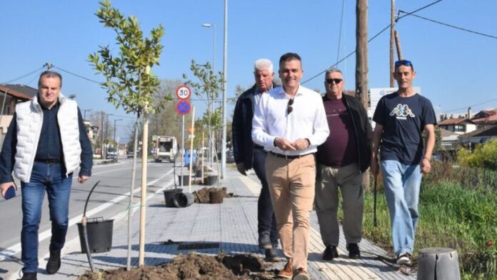 Θ. Μαμάκος: «Εντείνεται η ενίσχυση του πράσινου αποτυπώματος στη Λάρισα»