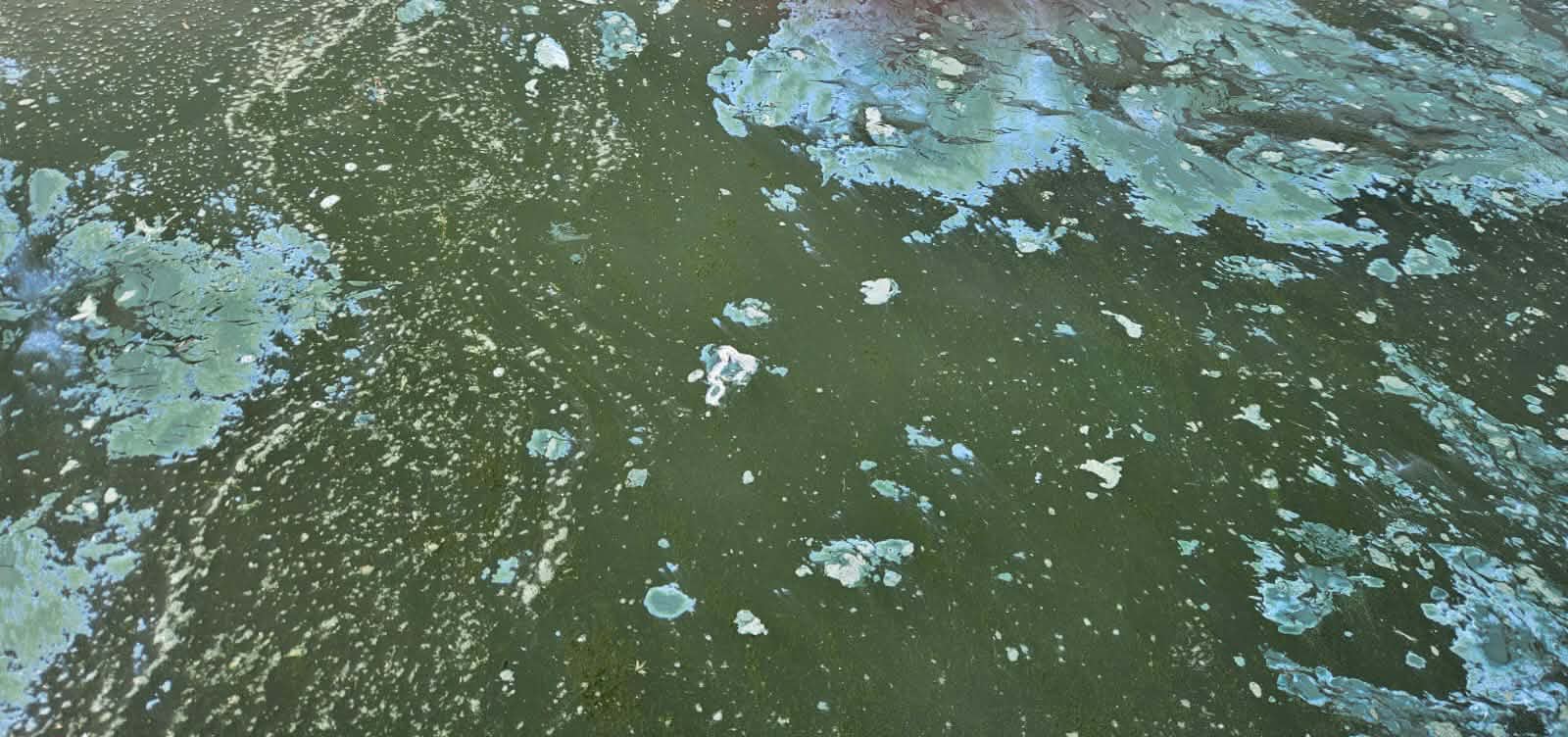 Κοζάνη: Άσπρος αφρός στη Λίμνη Πολυφύτου – Καθησυχαστικές οι πρώτες εκτιμήσεις