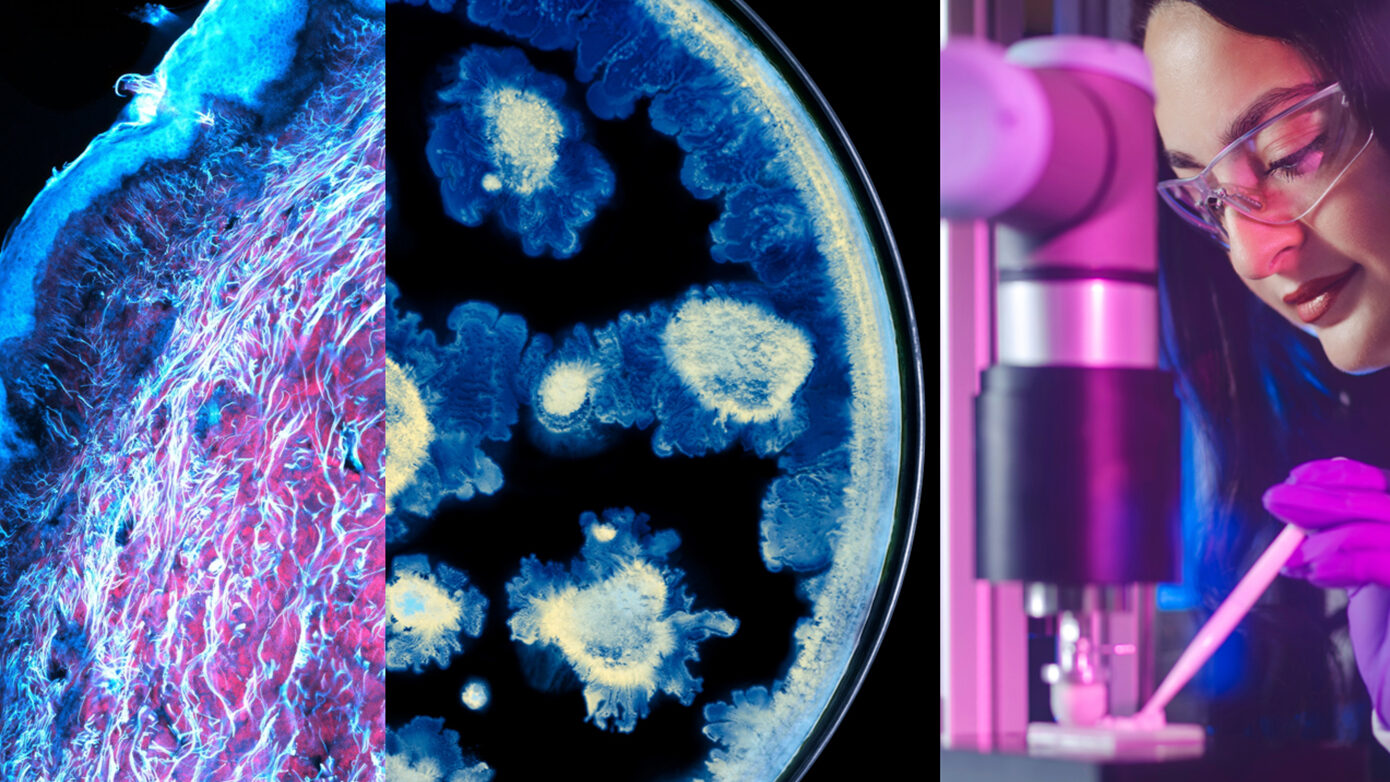 Η L’Oréal και το Institut Pasteur αποκαλύπτουν μια πρωτοποριακή συνεργασία για την εξέλιξη της επιστήμης της δερματικής υγείας