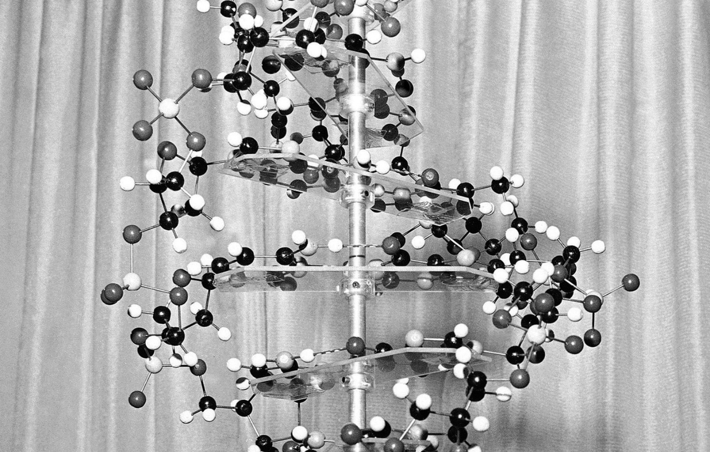 Σαν σήμερα 25 Απριλίου: Η διπλή έλικα του DNA και η επιστήμονας που δεν τιμήθηκε ποτέ