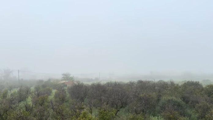 «Χάθηκε» ο Ταΰγετος μέσα στο πυκνό πέπλο ομίχλης