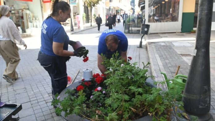 Συνεχίζονται οι δενδροφυτεύσεις από τον Δήμο Πατρέων