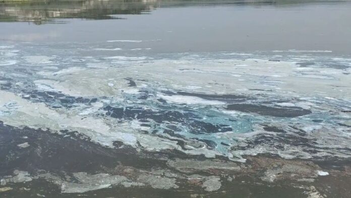 Περιφέρεια Δυτικής Μακεδονίας: Συλλογή δειγμάτων και μελέτη για τον αφρό στη λίμνη Πολυφύτου