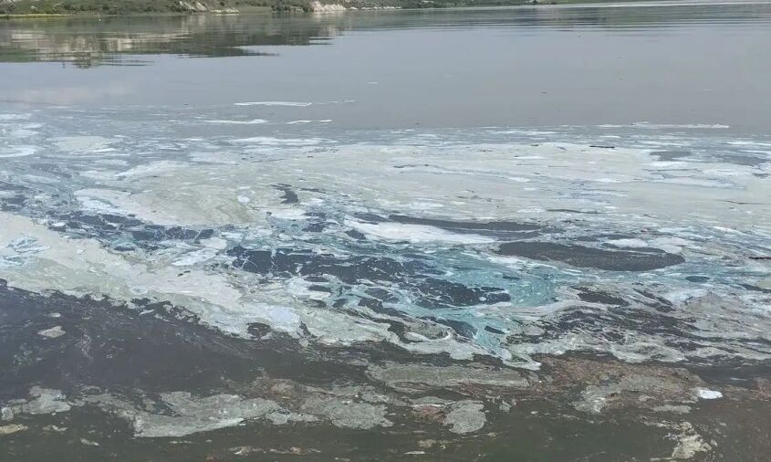 Περιφέρεια Δυτικής Μακεδονίας: Συλλογή δειγμάτων και μελέτη για τον αφρό στη λίμνη Πολυφύτου