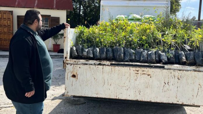Το Περιφερειακό Φυτώριο Νοτίου Αιγαίου στηρίζει ενεργά το πράσινο