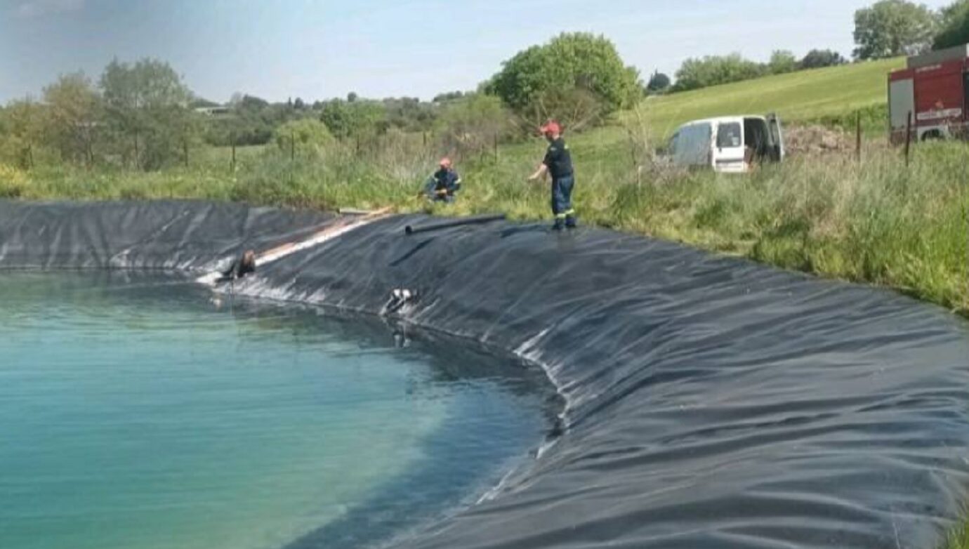 Γιγαντόσωμα σκυλιά παγιδεύτηκαν σε ταμιευτήρα στην Κατερίνη – Το συγκλονιστικό βίντεο της διάσωσης τους