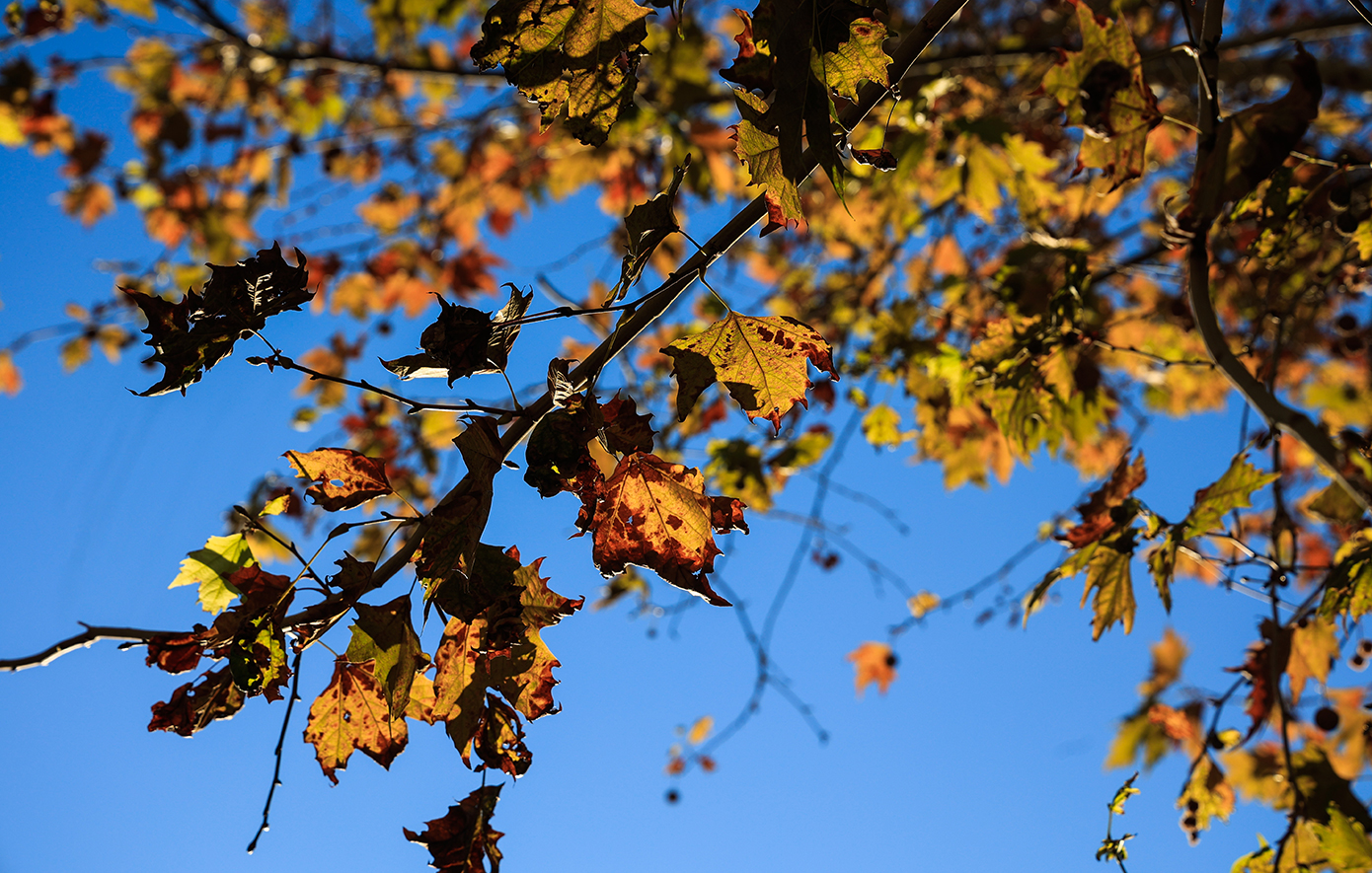 Άνοιξη με ένταση: Αύξηση της θερμοκρασίας, αλλά και τοπικές καταιγίδες στα βουνά – Πώς θα ξεκινήσει η εβδομάδα