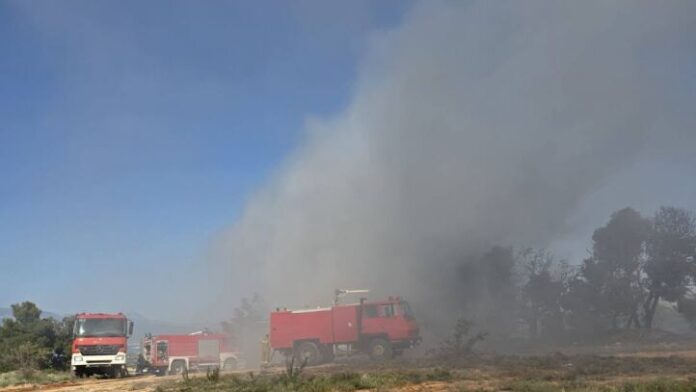 Η πυρκαγιά στον Δήμο Βέλου-Βόχας τέθηκε υπό απόλυτο έλεγχο