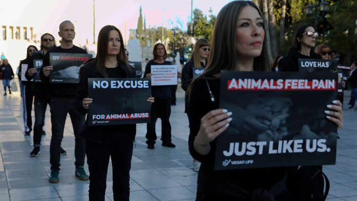 «2 εκατομμύρια θυσίες για μια παράδοση» – Vegans αντιδρούν στο Σύνταγμα για το πασχαλινό σούβλισμα