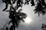 Η πρόγνωση καιρού για σήμερα 30/4/2026