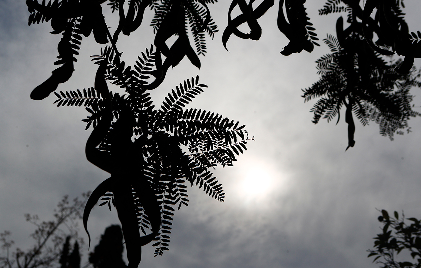 Η πρόγνωση του καιρού για την Τρίτη 14/4/2026