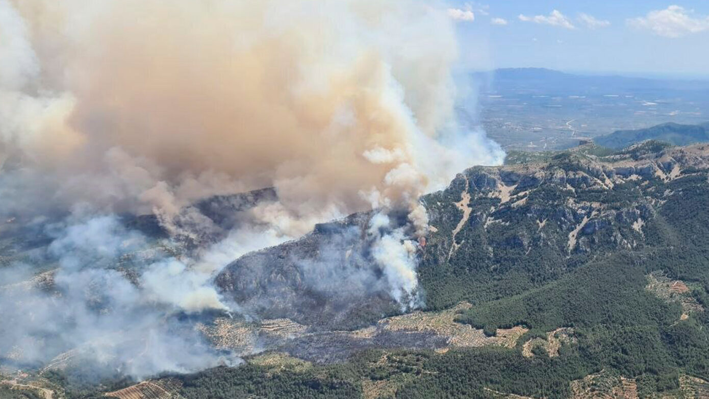 Πυρκαγιές από αμέλεια: Συλλήψεις για καύση χόρτων στο στόχαστρο της ΔΑΕΕ για την αντιπυρική περίοδο 2026