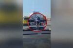 Απίστευτες σκηνές στην Εθνική Οδό: Ποδηλάτης «γαντζώθηκε» πίσω από φορτηγό για άνετη πορεία, χρησιμοποιώντας τεχνική… F1